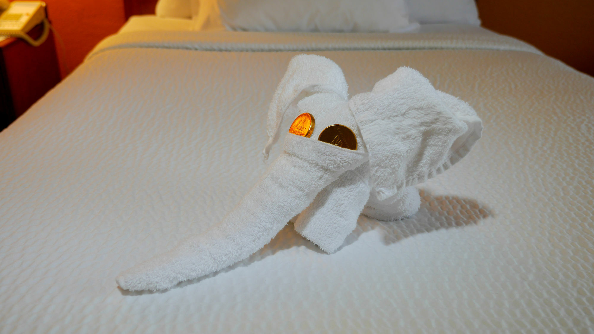Quality Inn Fayetteville Near Fort Bragg Luaran gambar